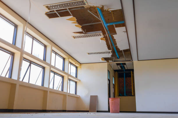 Best 24/7 water damage repair  in Mead, WA