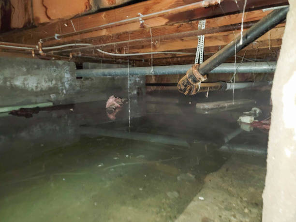 Best Flooded house restoration  in Mead, WA