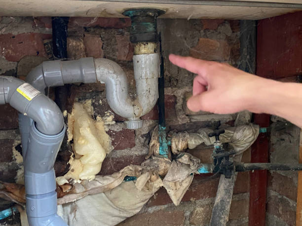 Best Emergency water extraction  in Mead, WA