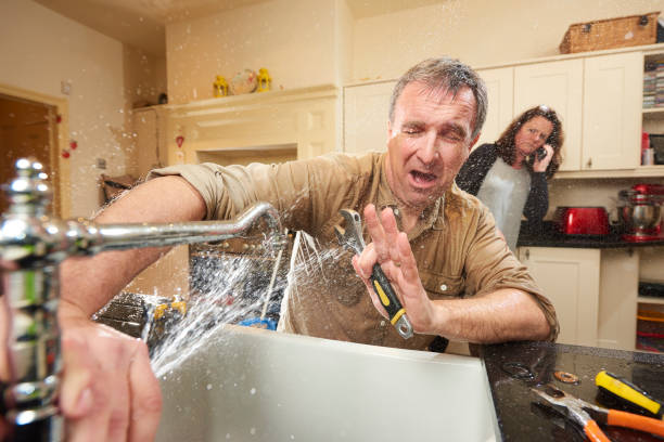 Best Water damage contractors near me  in Mead, WA